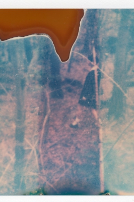 RED Profile/レッドプロフィール2013ss_1