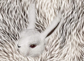 R in my head　うさぎ